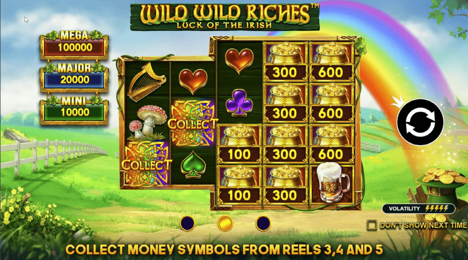 Wild Wild Riches Video Slot