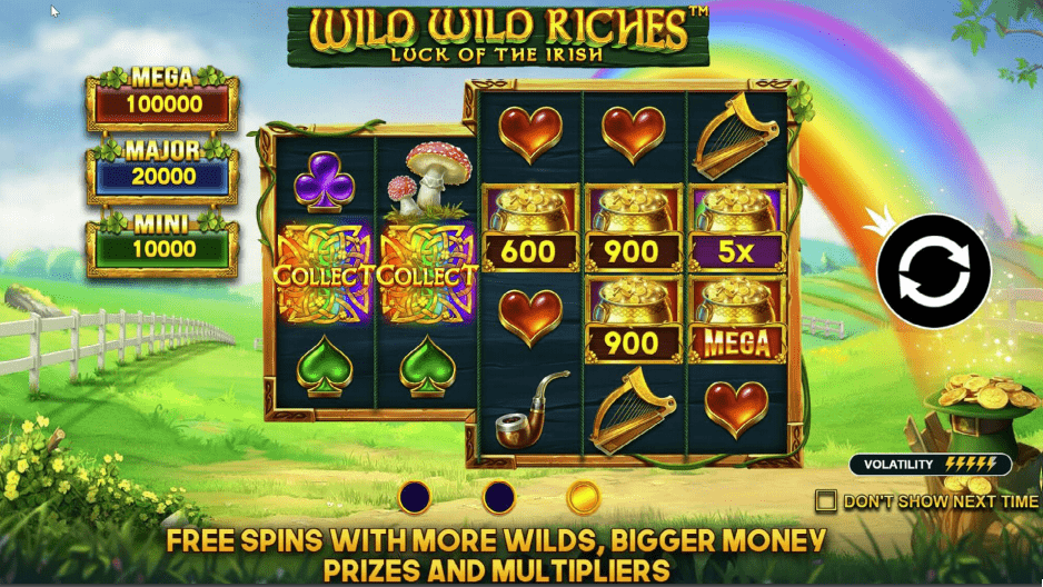 Wild Wild Riches Video Slot